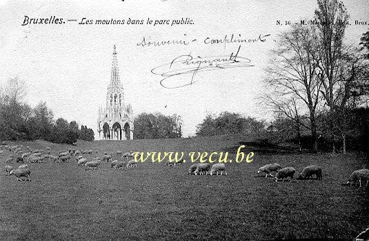 postkaart van Laken Les moutons dans le Parc public