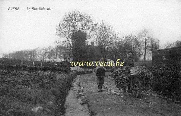 ancienne carte postale de Evere La rue Dolecht