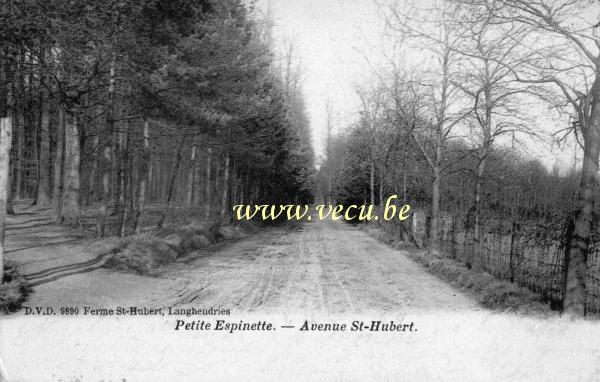 ancienne carte postale de Uccle Petite-Espinette - Avenue Saint-Hubert