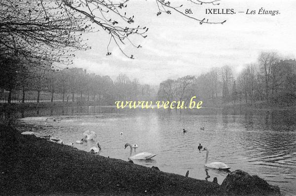 ancienne carte postale de Ixelles Les étangs