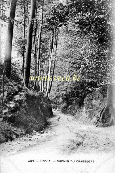 ancienne carte postale de Uccle Chemin du Crabbegat