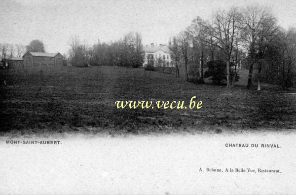 ancienne carte postale de Mont-Saint-Aubert Château du Rinval