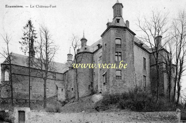 postkaart van Ecaussines Le Château-Fort