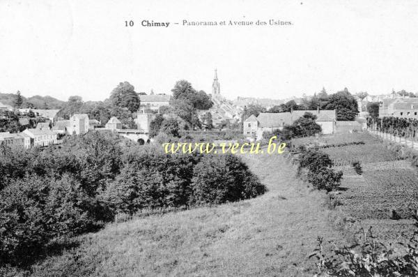 ancienne carte postale de Chimay Panorama et avenue des Usines