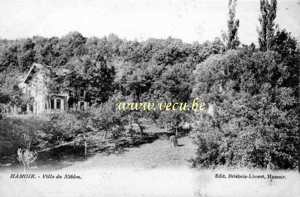 ancienne carte postale de Hamoir Villa du Néblon