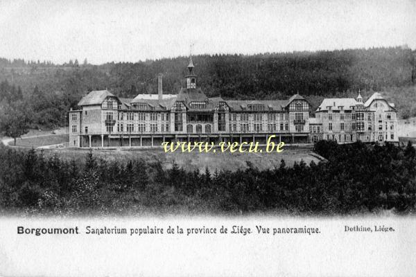 postkaart van La Gleize Borgoumont - Sanatorium populaire de la province de Liège. Vue panoramique