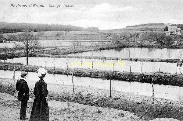 ancienne carte postale de Arlon Environs d'Arlon - Etangs Tesch