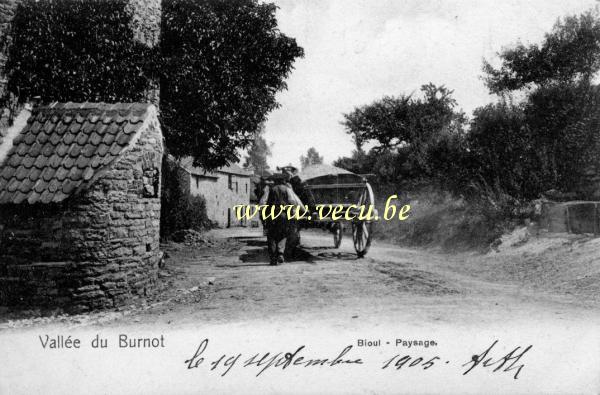 ancienne carte postale de Bioul Vallée du Burnot. Paysage.