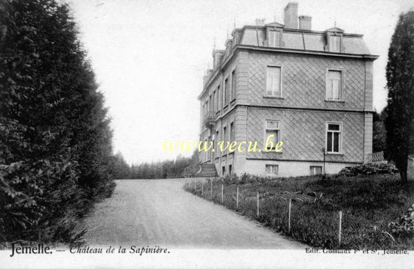 ancienne carte postale de Jemelle Château de la sapinière