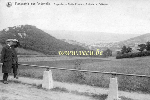 postkaart van Andenelle Panorama sur Andenelle. A gauche la petite France - A droite le Pelémont