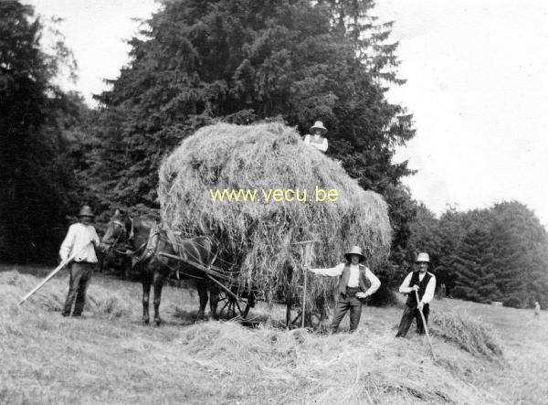 photo ancienne  de métiers de l'agriculture et de l'élevage  Ramassage du foin
