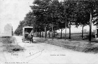 carte postale ancienne de Forest Avenue van Volxem