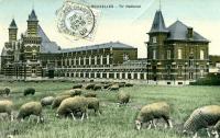 carte postale ancienne de Schaerbeek Tir National