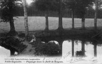 carte postale ancienne de Uccle Petite-Espinette - Paysage dans la forêt de Soignes