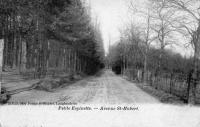 carte postale ancienne de Uccle Petite-Espinette - Avenue Saint-Hubert