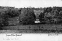 postkaart van Hamme-Mille Château de Valduc