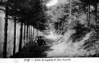 carte postale ancienne de Tilff Allée des sapins de Sur Cortill
