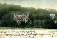 carte postale ancienne de Spa Avenue de Barisart - Château des Sorbiers