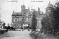 carte postale ancienne de Nessonvaux Château de Colonheid