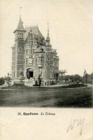 carte postale ancienne de Dalhem Le Château