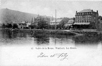 carte postale ancienne de Waulsort Vallée de la Meuse. Les Hôtels.