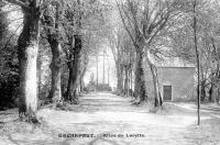 carte postale ancienne de Rochefort Allée de Lorette