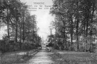 carte postale ancienne de Tamise Vue extérieure du château de Mr Janssens et vue sur la rue du château