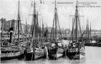 carte postale ancienne de Blankenberge Le port et les bateaux de Pêche