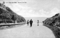 carte postale ancienne de Le Coq Route de la mer