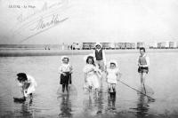 carte postale ancienne de Le Coq La Plage, les cabines et la pêche aux crevettes des enfants.