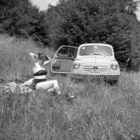  Fiat 600  Pin-up