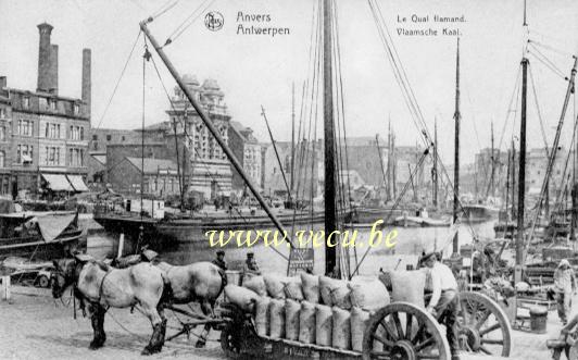 ancienne carte postale de Anvers Le Quai flamand
