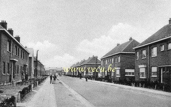 ancienne carte postale de Willebroeck Stad Willebroek