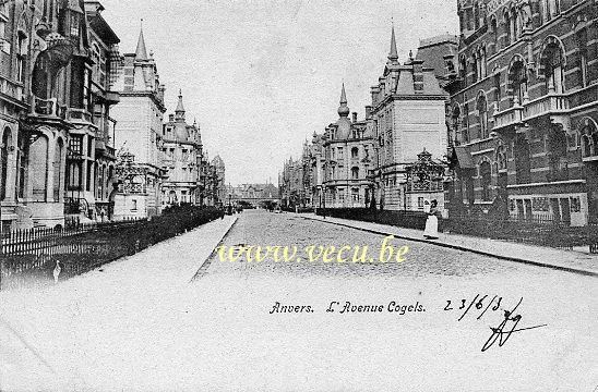 ancienne carte postale de Anvers L'Avenue Cogels