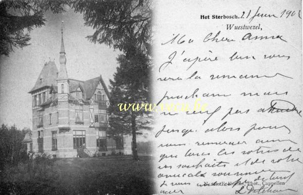 ancienne carte postale de Wuustwezel Het Sterbosch