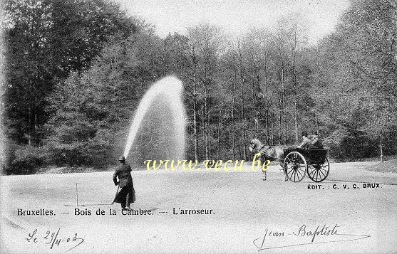 ancienne carte postale de Bruxelles Bois de la Cambre - L'arroseur