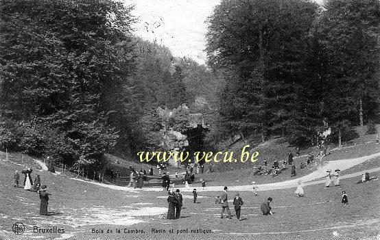 ancienne carte postale de Bruxelles Bois de la Cambre, ravin et pont rustique
