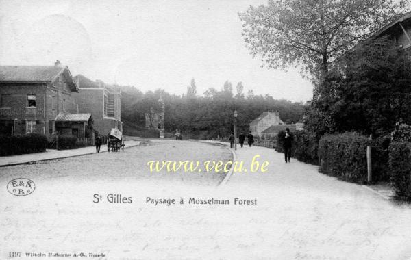 ancienne carte postale de Forest Paysage à Mosselman ( parc Duden)
