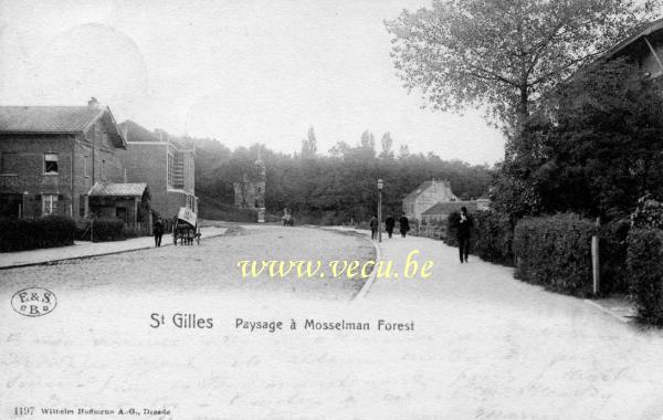 ancienne carte postale de Forest Paysage à Mosselman ( parc Duden)