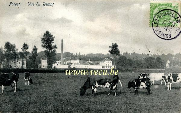 ancienne carte postale de Forest Vue du Bempt