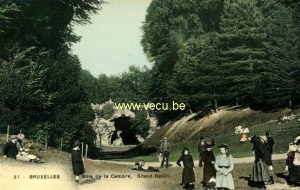 ancienne carte postale de Bruxelles Bois de la Cambre. Grand ravin