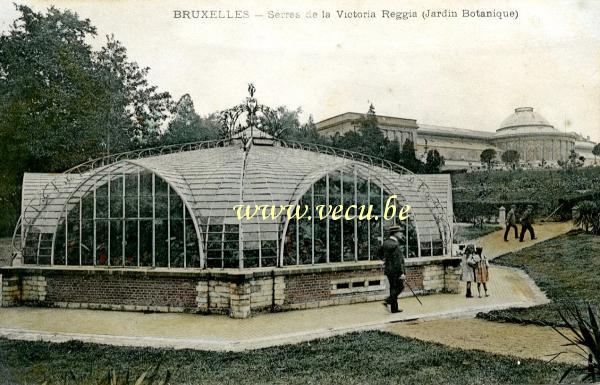 ancienne carte postale de Bruxelles Serres de la Victoria Reggia (Jardin Botanique)