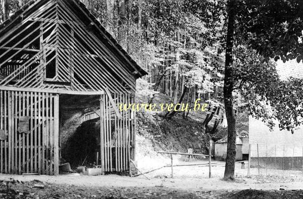 ancienne carte postale de Forest Parc de Duden