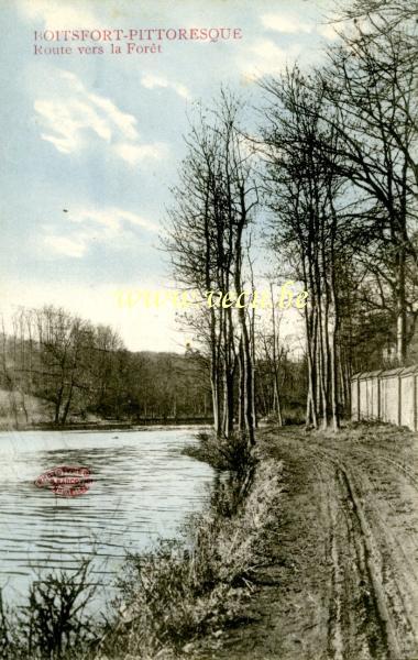 ancienne carte postale de Watermael-Boitsfort Route vers la Forest