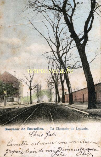 postkaart van Evere Leuvensesteenweg