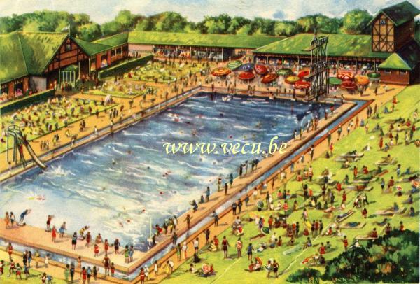 ancienne carte postale de Evere Piscine 