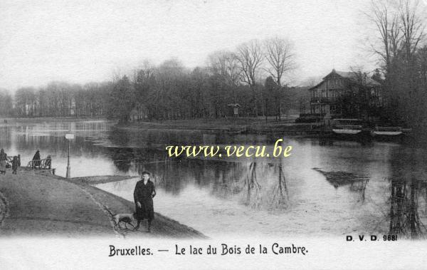 ancienne carte postale de Bruxelles Le lac du bois de la Cambre