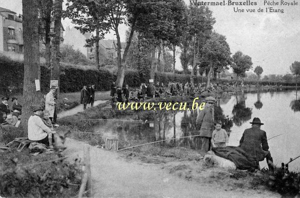 ancienne carte postale de Watermael-Boitsfort Pêche royale - une vue sur l'étang