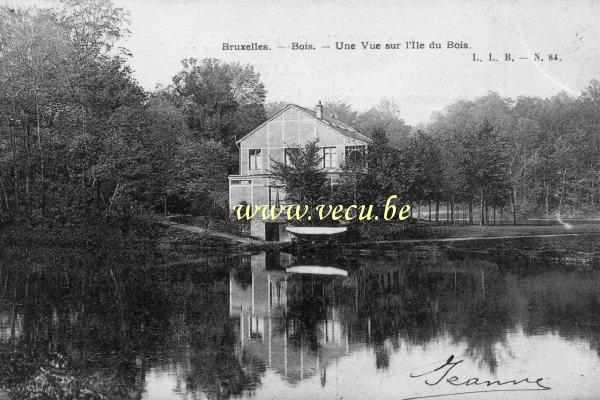 ancienne carte postale de Bruxelles Bois - Une vue sur l'Ile du Bois - Chalet Robinson