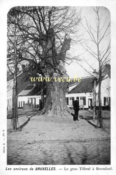 ancienne carte postale de Ixelles Le gros Tilleul à Boondael